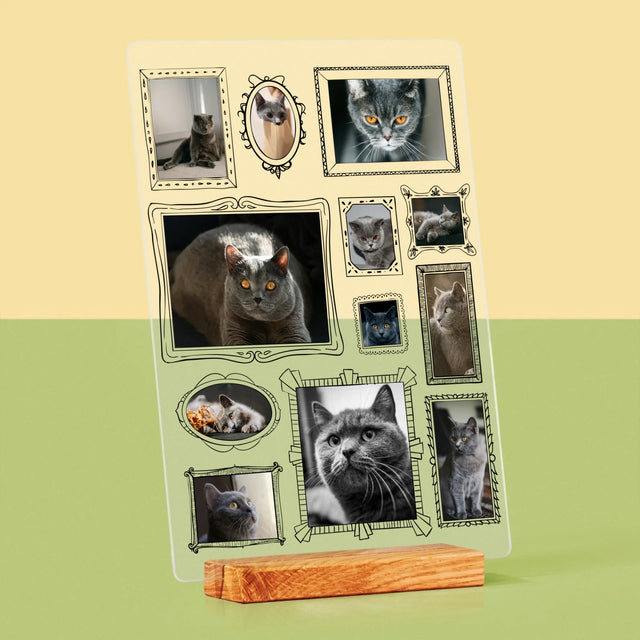 Fotocollage: Fotowand Mit Haustier - Druck Auf Acrylglas