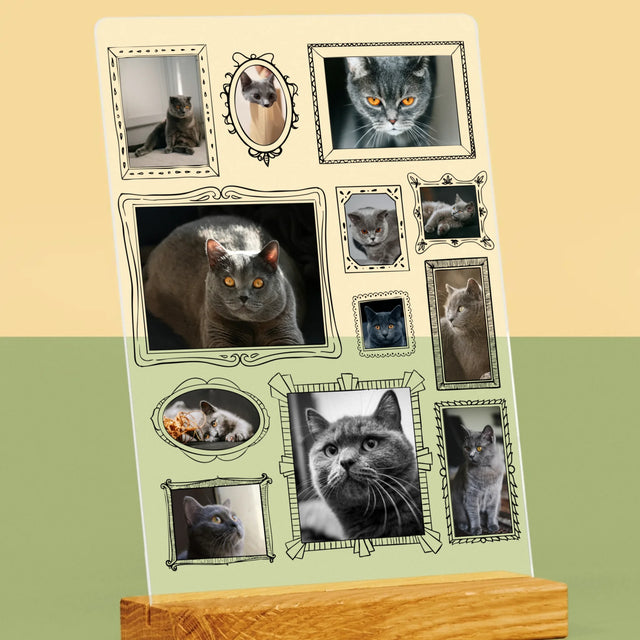 Fotocollage: Fotowand Mit Haustier - Druck Auf Acrylglas