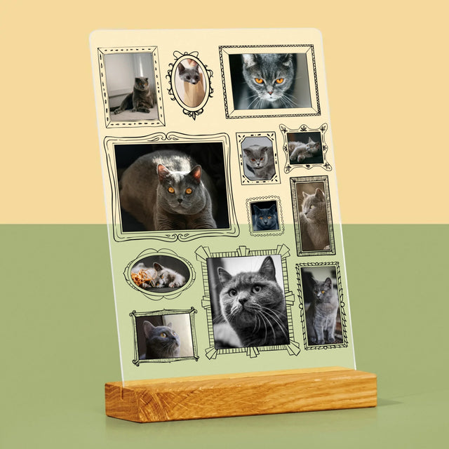 Fotocollage: Fotowand Mit Haustier - Druck Auf Acrylglas