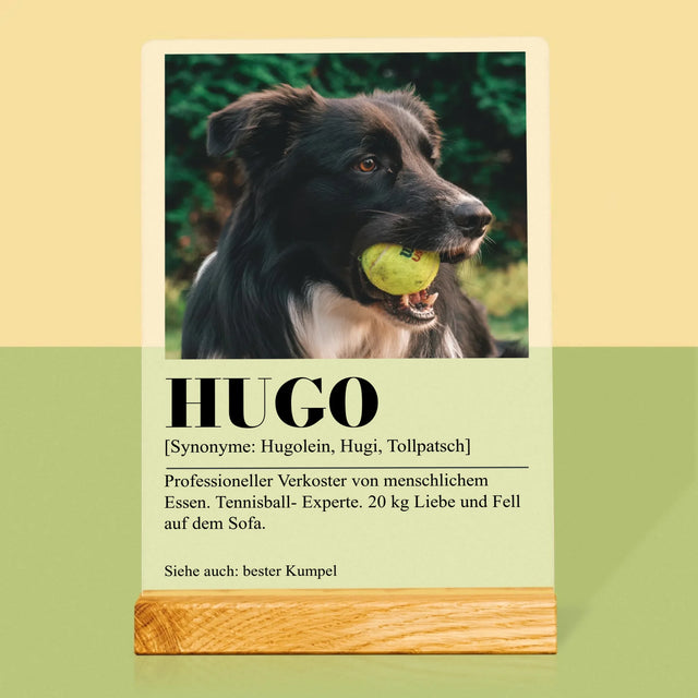 Foto Und Unterschrift: Haustier Definition - Druck Auf Acrylglas