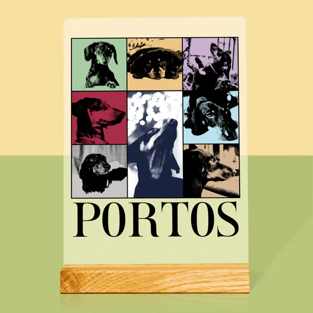 Fotocollage: Haustier Wie Taylor - Druck Auf Acrylglas