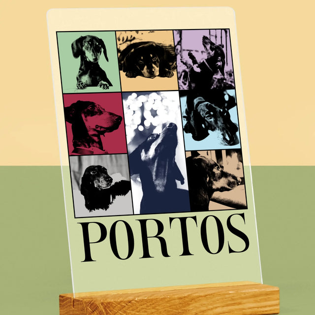 Fotocollage: Haustier Wie Taylor - Druck Auf Acrylglas