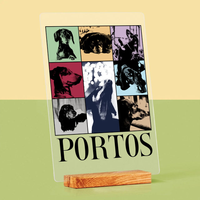 Fotocollage: Haustier Wie Taylor - Druck Auf Acrylglas