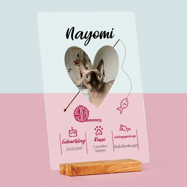 Foto Und Unterschrift: Katzenurkunde - Druck Auf Acrylglas