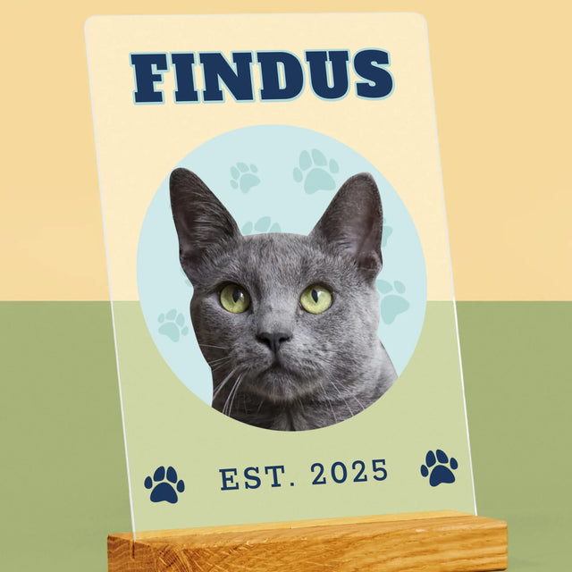 Ihr Avatar: Deine Uni-Katze - Druck Auf Acrylglas