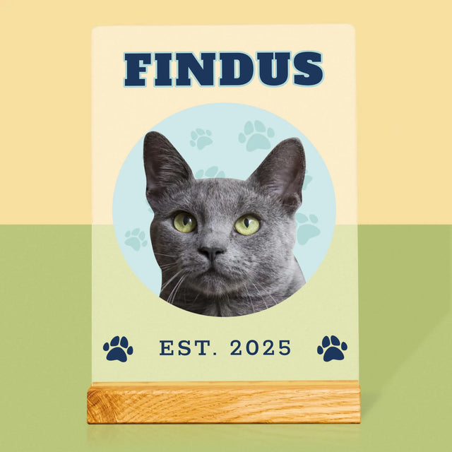 Ihr Avatar: Deine Uni-Katze - Druck Auf Acrylglas