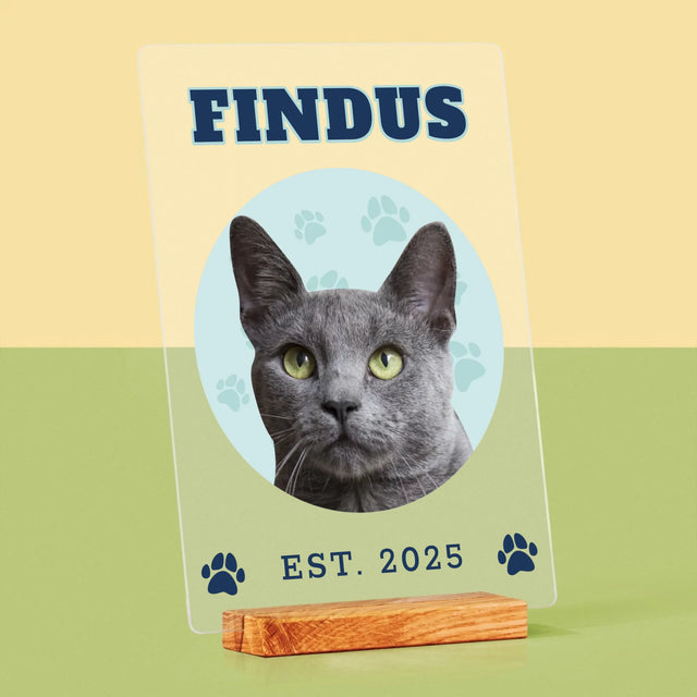 Ihr Avatar: Deine Uni-Katze - Druck Auf Acrylglas