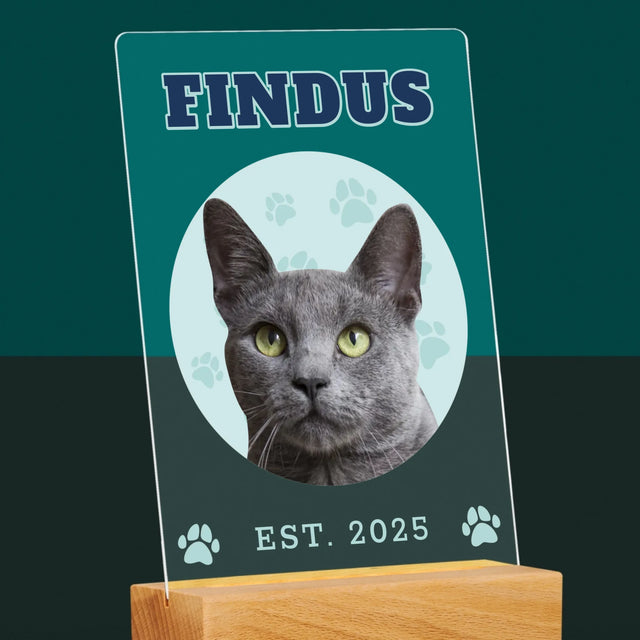 Ihr Avatar: Deine Uni-Katze - Druck Auf Acrylglas