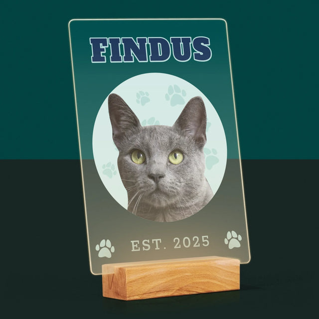 Ihr Avatar: Deine Uni-Katze - Druck Auf Acrylglas