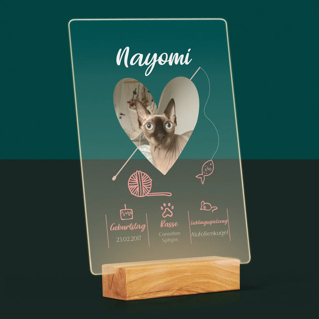 Foto Und Unterschrift: Katzenurkunde - Druck Auf Acrylglas