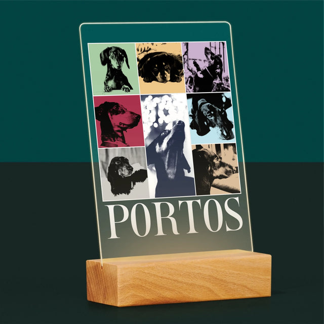 Fotocollage: Haustier Wie Taylor - Druck Auf Acrylglas