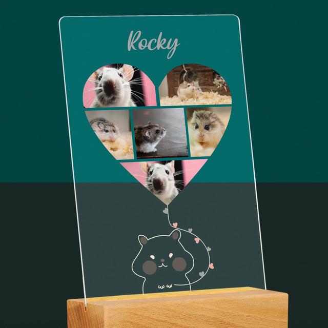 Fotocollage: Hamster - Druck Auf Acrylglas