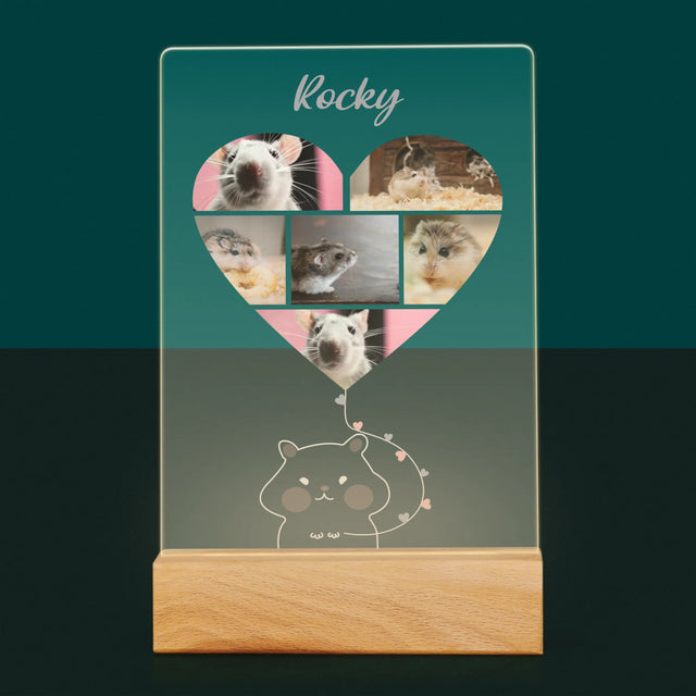 Fotocollage: Hamster - Druck Auf Acrylglas