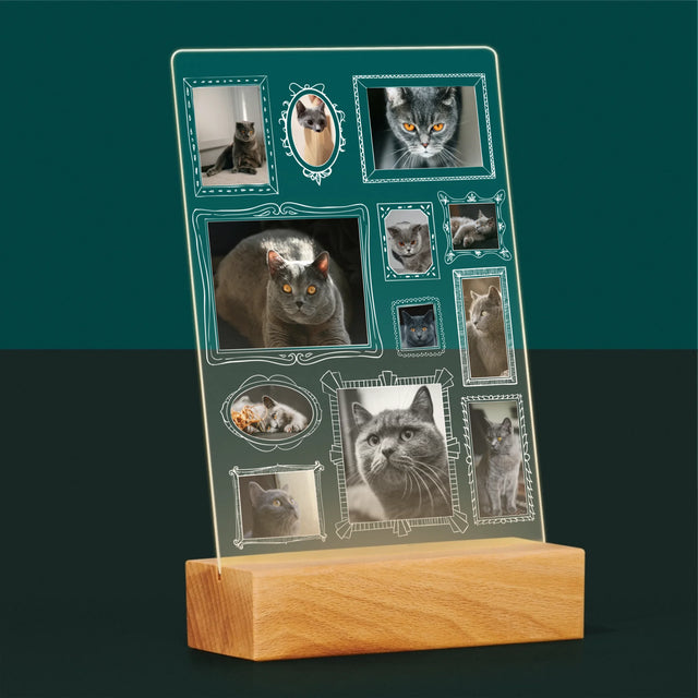 Fotocollage: Fotowand Mit Haustier - Druck Auf Acrylglas