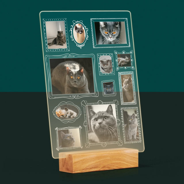 Fotocollage: Fotowand Mit Haustier - Druck Auf Acrylglas