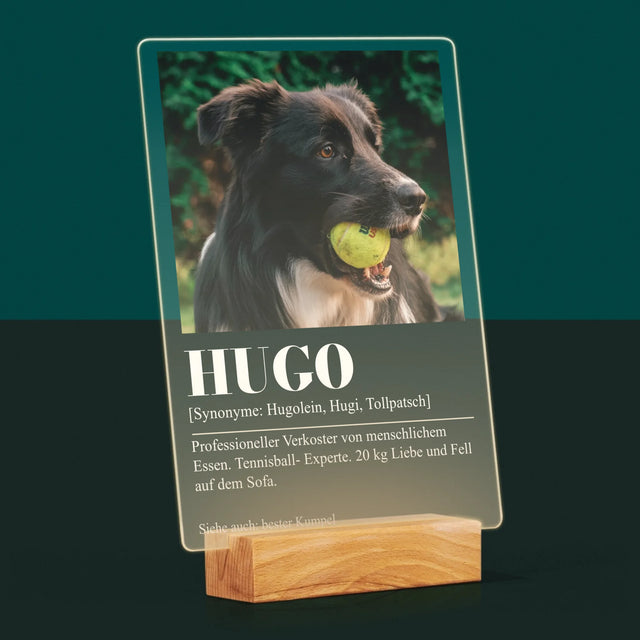 Foto Und Unterschrift: Haustier Definition - Druck Auf Acrylglas