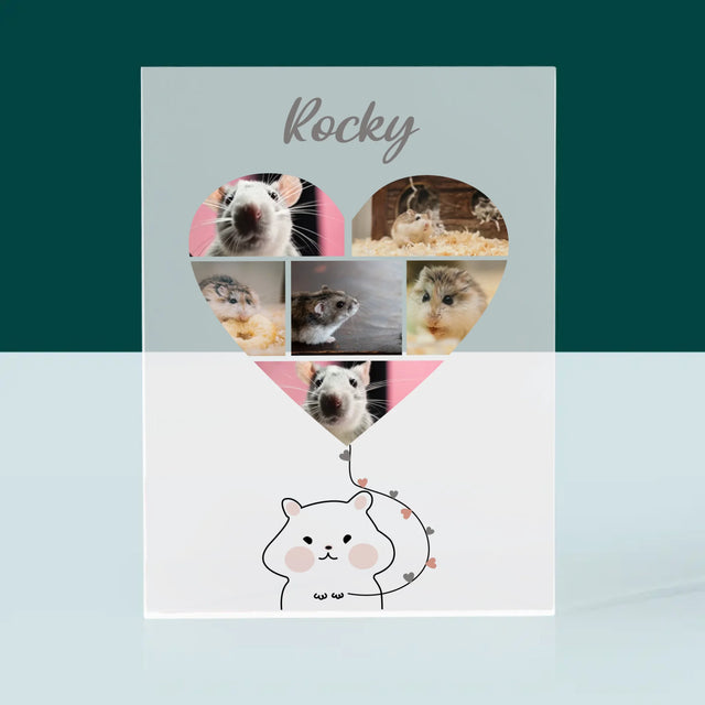 Fotocollage: Hamster - Druck Auf Acrylglas