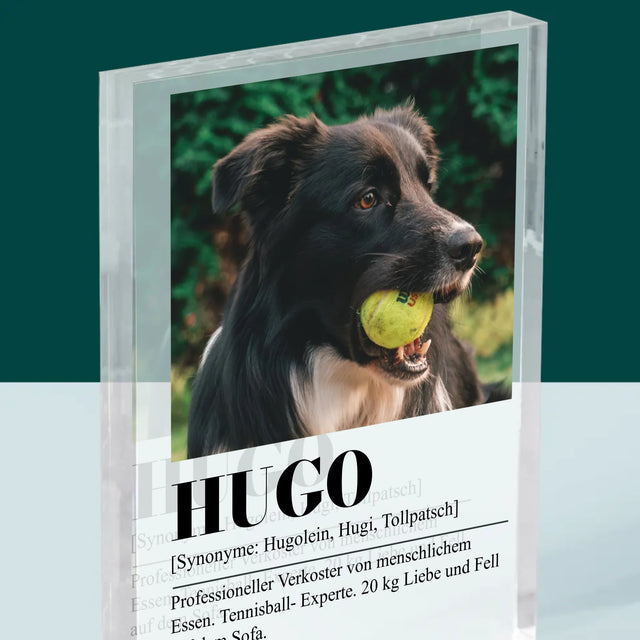 Foto Und Unterschrift: Haustier Definition - Druck Auf Acrylglas