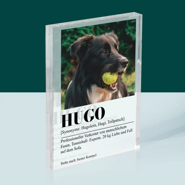 Foto Und Unterschrift: Haustier Definition - Druck Auf Acrylglas