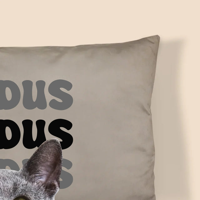 Ihr Avatar: Haustierfoto Mit Namen - Kissen