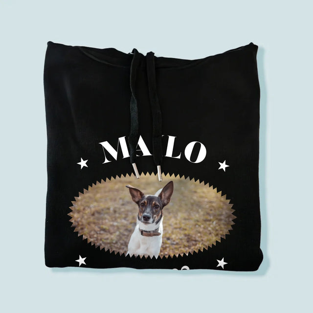 Foto Und Unterschrift: Hund Established - Kapuzenpullover Für Herren