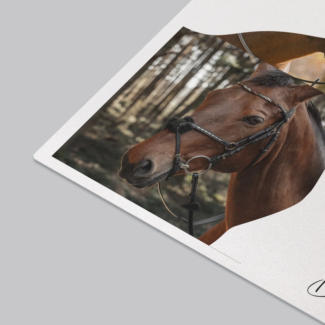 Form-Collage: Mädchen Mit Pferd - Schreibtischunterlage