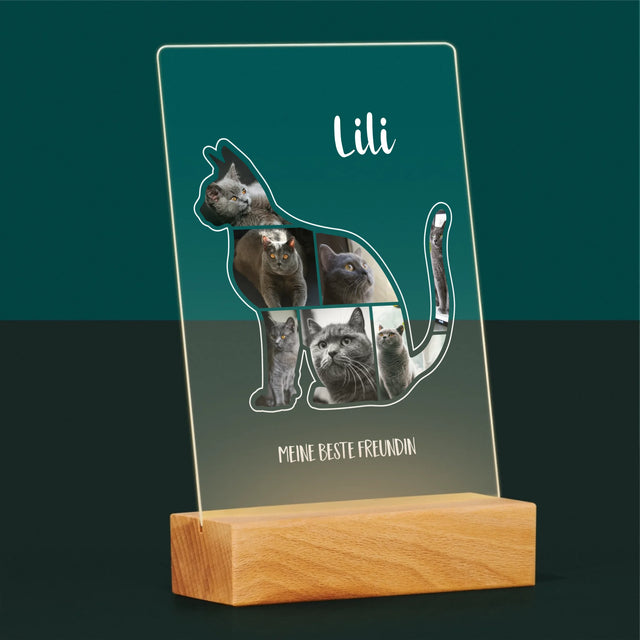 Form-Collage: Die Katze Der Beste Freund - Druck Auf Acrylglas