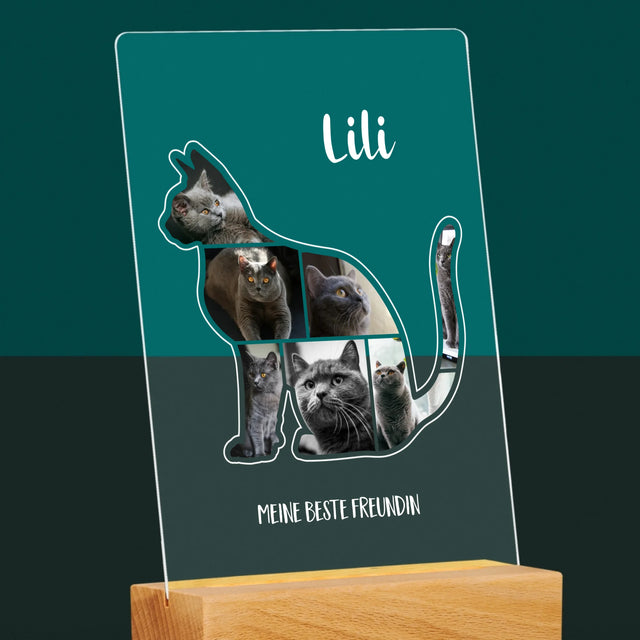 Form-Collage: Die Katze Der Beste Freund - Druck Auf Acrylglas