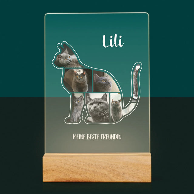 Form-Collage: Die Katze Der Beste Freund - Druck Auf Acrylglas