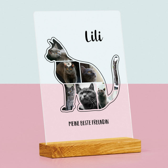 Form-Collage: Die Katze Der Beste Freund - Druck Auf Acrylglas