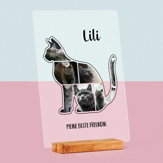 Form-Collage: Die Katze Der Beste Freund - Druck Auf Acrylglas