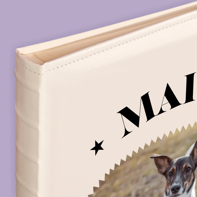 Foto Und Unterschrift: Hund Established - Fotoalbum