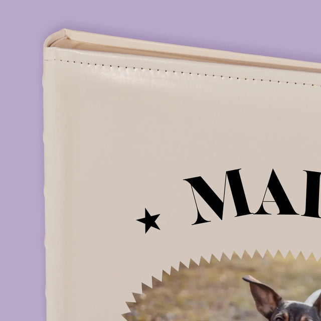 Foto Und Unterschrift: Hund Established - Fotoalbum