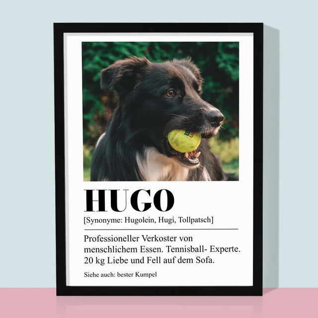 Foto Und Unterschrift: Haustier Definition - Druck Mit Rahmen 30X40