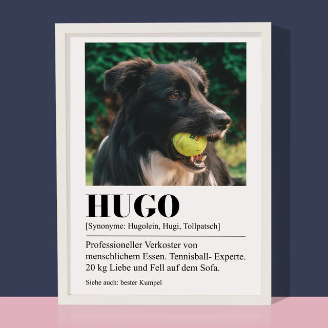 Foto Und Unterschrift: Haustier Definition - Druck Mit Rahmen 30X40