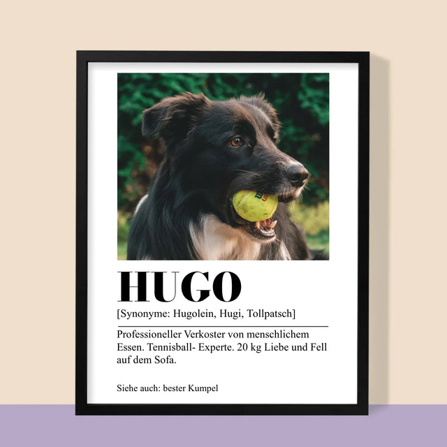 Foto Und Unterschrift: Haustier Definition - Druck Mit Rahmen 30X40