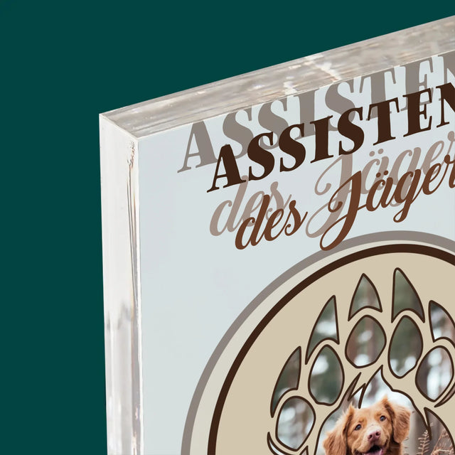 Form-Collage: Assistent Des Jägers - Druck Auf Acrylglas