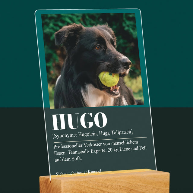Foto Und Unterschrift: Haustier Definition - Druck Auf Acrylglas