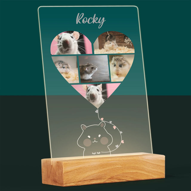 Fotocollage: Hamster - Druck Auf Acrylglas