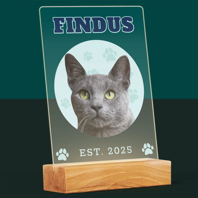 Ihr Avatar: Deine Uni-Katze - Druck Auf Acrylglas