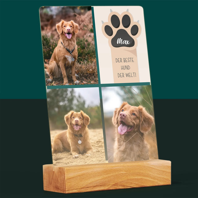 Fotocollage: Bester Hund - Druck Auf Acrylglas