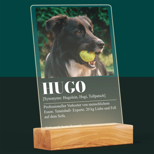 Foto Und Unterschrift: Haustier Definition - Druck Auf Acrylglas