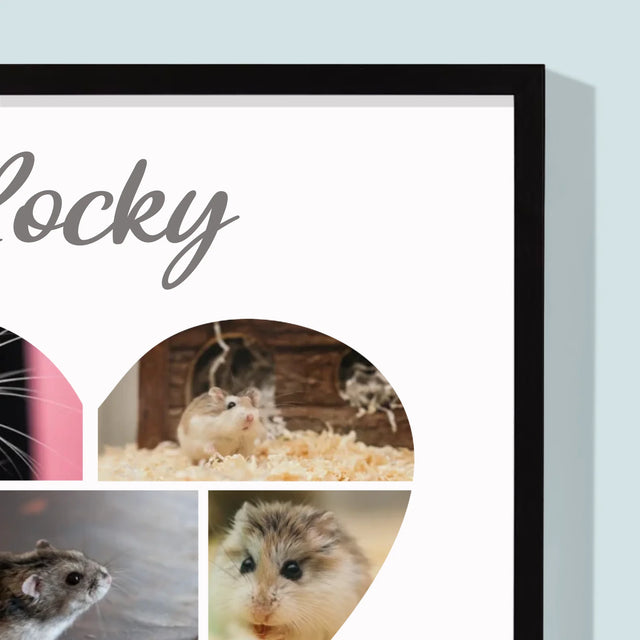 Fotocollage: Hamster - Druck Mit Rahmen 30X40
