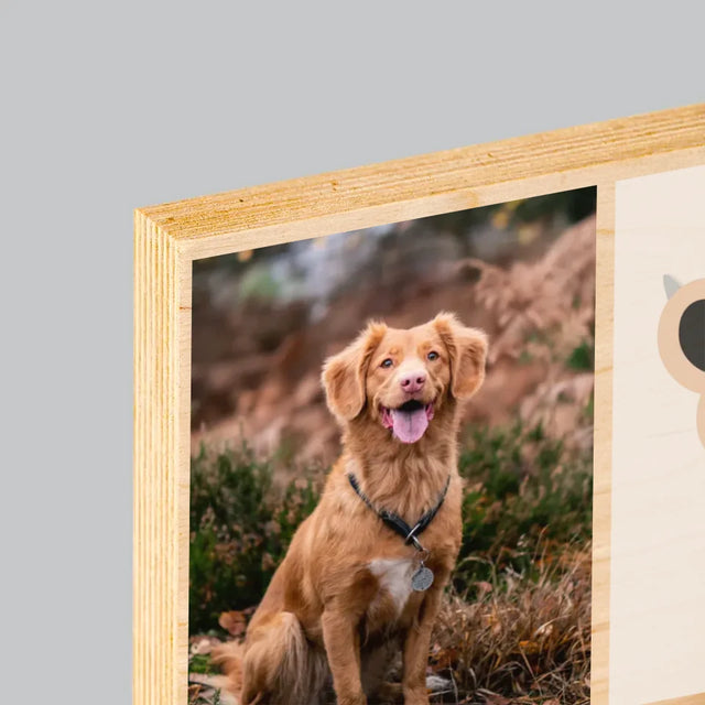 Fotocollage: Bester Hund - Druck Auf Holz