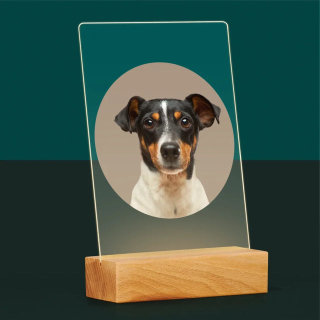 Foto: Dein Hund - Druck Auf Acrylglas