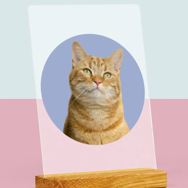 Foto: Deine Katze - Druck Auf Acrylglas