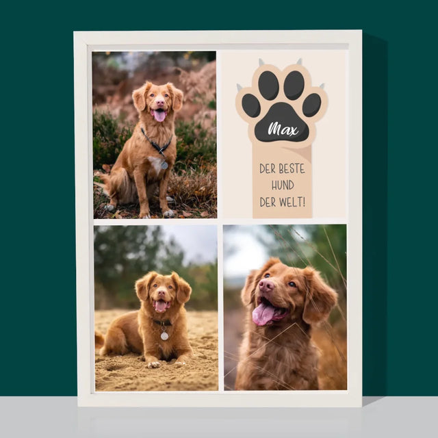 Fotocollage: Bester Hund - Druck Mit Rahmen 30X40