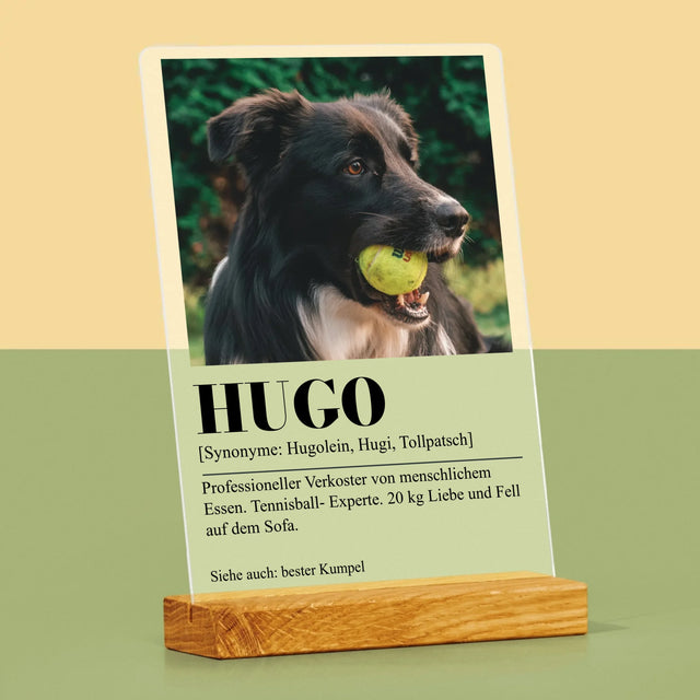 Foto Und Unterschrift: Haustier Definition - Druck Auf Acrylglas