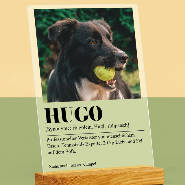 Foto Und Unterschrift: Haustier Definition - Druck Auf Acrylglas