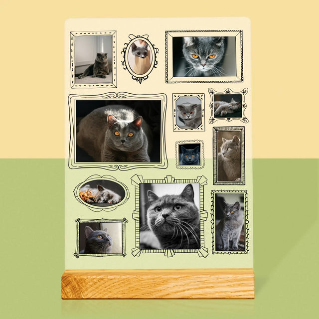 Fotocollage: Fotowand Mit Haustier - Druck Auf Acrylglas